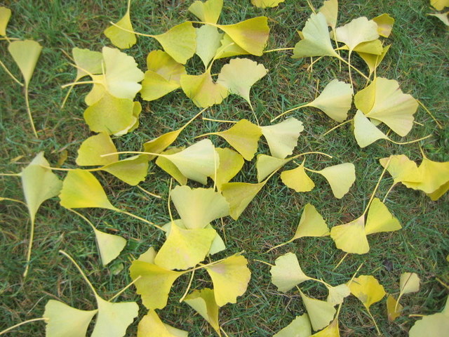 Image 22 of 32  -  134 kB